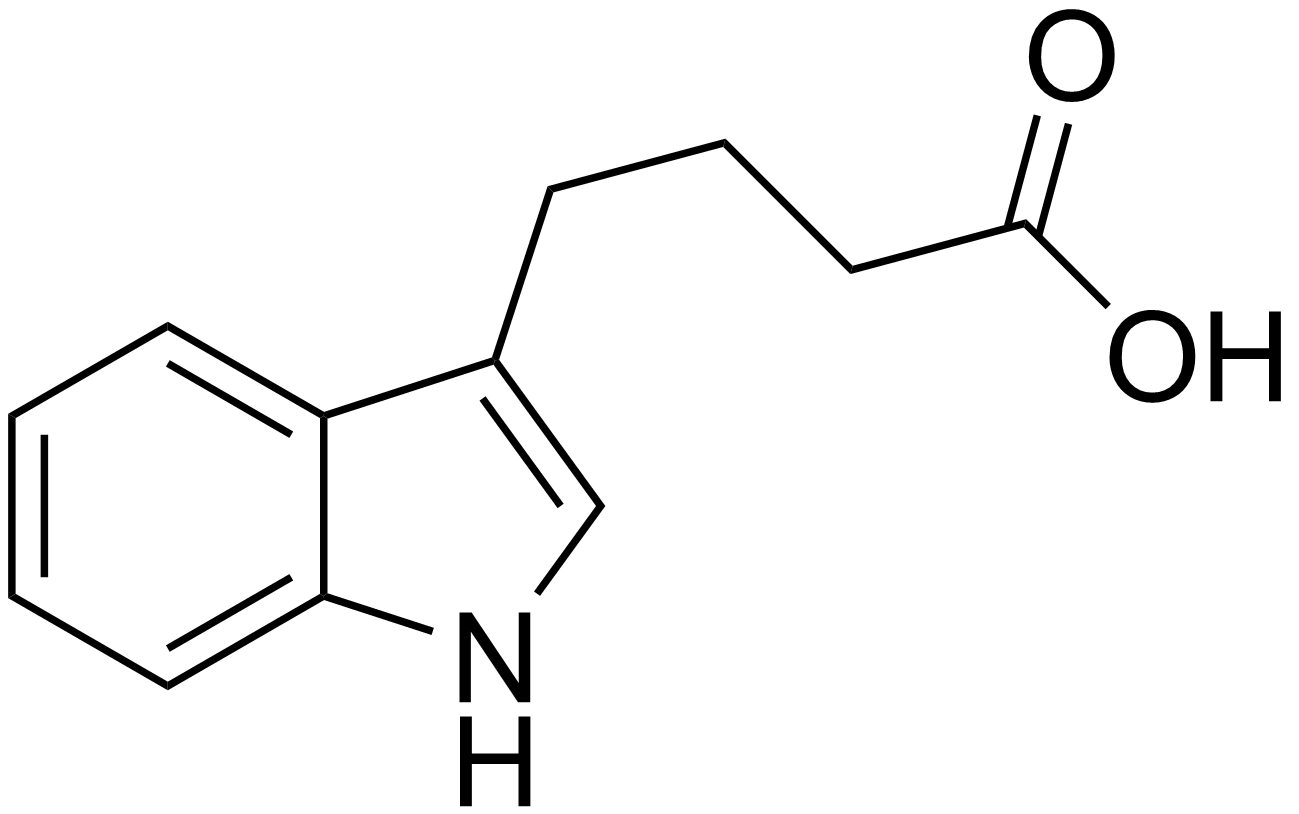 auxin, 3-indol acetic acid, IAA, HUTERAUXIN 