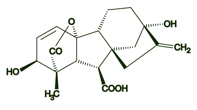 GA3, GA, gibberellic acid,   赤霉素